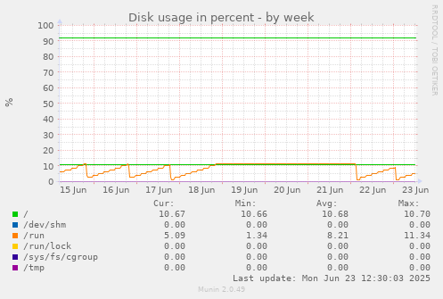Disk usage in percent